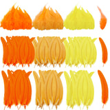 Suncalla Thanksgiving Rooster Feathers 250 Pcs 4-6/10-12/12-14 Inches Fall Craft Colored Feathers for DIY Crafts Thanksgiving Co