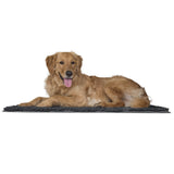 Furhaven 36 x 26 Highly Absorbent Dog Door Mat for Muddy Paws, 100% Washable, Perfect for Entryway, Kitchen, & Bathroom Use - Ch