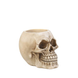 Zings & Thingz 57072975 Grinning Skull Pen Holder, 1 Set, Cream