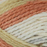 Premier Yarns Yarn Bloom Chunky Chrysanthe, One Size, Chrysanthemum