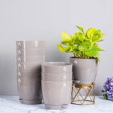 Nurturing Green Self Watering Pots For Plants, 14Cm, Set Of 10 (Mocha)
