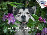 2025 2026 Alaskan Malamute Calendar - Dog Breed Monthly Wall Calendar - 12 x 18 Open - Thick No-Bleed Paper - Giftable - Academi