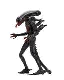 NECA Alien - 7Scale Action Figure - 40th Anniversary - Wave 2 - Bloody Xenomorph