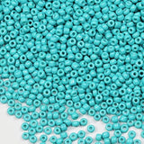 Bulk Turquoise Seed Beads 200 Grams About 6500pcs, 3mm 8/0 Glass Craft for Making Earrings, Bracelets, Pendants, Waist Jewelry,D