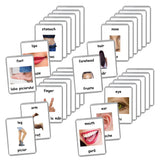 Romanian English Bilingual Flash Cards | Laminated Flash Cards | Montessori Cards | Choose Your Set (Vehicles)