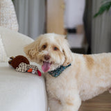 Ethical Pets Gigglers Chicken Dog Toy, 12-Inch, Assorted