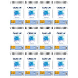 Canson Artist Series Montval Watercolor Artist Paper for Adults and Students, 5.5 x 8.5, White, Cold Press, 140 lb. (300gsm), To