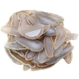 Rockcloud 5 Pcs Polished Thin Agate Slice Pendants with Drilled Holes for Jewelry, Necklaces and Bracelets,Natural Color