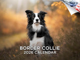 2025 2026 Border Collie Calendar - Dog Breed Monthly Wall Calendar - 12 x 18 Open - Thick No-Bleed Paper - Giftable - Academic T