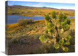 Joshua Tree And Wetlands Along The Pacific Flyway, Pahranagat National Wildlife Refuge, Nevada-Canvas Art-24X18