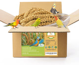 MEILLEURE 2LB Spray Millet Bird Treat for Parakeets, Natural Sun-Dried Birds Millet Spray for Parrots, Finches, Cockatiel, Budgi