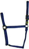 Hamilton 1-Inch Nylon Horse Halter, Yearling/Standard Donkey Size, 300-500-Pound, Navy Blue