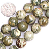 GEM-Inside Natural AA Grade 12mm Round Green Kambaba Rhyolite Beads for Jewelry Making Strand 15