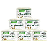 Canned Mealworms (1.2 oz. 6 Pack) - Healthy High Protein Insect Treat - Hedgehogs, Sugar Gliders, Reptiles, Wild Birds, Chickens