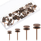 Ferraycle 40 Piece Double Headed Picture Hangers Nails 4 Size Long Thumb Tacks for Wall Hanging Decorative Nails Push Pins Pictu