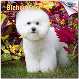 2023 2024 Bichon Frise Calendar Dog Breed Monthly Wall Calendar 12 x 24 Open Thick NoBleed Paper Giftable Academic Te