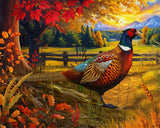 Springbok Golden Fields Pheasant 500 Piece Puzzle for Adults - Colorful Pheasant in a Fall Outdoor Scene