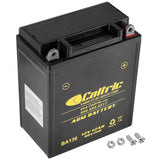 Caltric Yb12Al-A2 Agm Battery Compatible with Yamaha Fzr600 Fzr600R 1989 1990 1991 1992 1993-1999