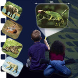 Brainstorm Toys Animal Flashlight And Projector