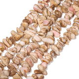 THRELE Chip Shells, 75pcs 11-16mm Irregular Beads with Holes, Light Brown Shell & Mixed Gemstone Like Chip Beads for Jewelry Mak