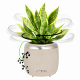 Plantpetz Extra Large Robotic Planter Smart Planter Fits 6 Inch Pots | Bluetooth Speaker | Interactive Smart Plant Pot Turns A
