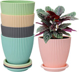 Inkulture Plastic Round Flower Pot With Tray | Plant Pot For Home, Terrace, Garden Etc | Planter | Pack Of 05 | Multicolor | Siz