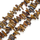1 Strand Adabele Natural Golden Yellow Tigers Eye Gemstone Tooth Point Loose Beads Drilled Hole 7mm-23mm Gem Stone Pendant Drop