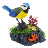 Tipmant Cute Electronic Birds Toys Pets Simulation Realistic Move Chirp Electric Office Home Desk Decor Decoration Kids Birthday