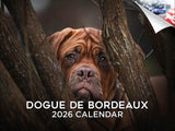 2025 2026 Dogue De Bordeaux Calendar - Dog Breed Monthly Wall Calendar - 12 x 18 Open - Thick No-Bleed Paper - Giftable - Academ