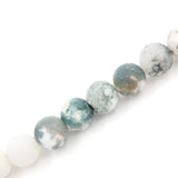 Matte Gemstone Beads for Jewelry Making, Sold per Bag 5 Strands Inside (Matte Tree Agate, 8mm)