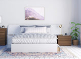 Nexera 3-Piece Bed Frame, Headboard & Nightstand, Queen|White & Walnut Bedroom Set