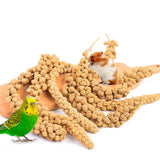 Fhiny Millet Spray for Birds, 1.1LB Natural Sun-Dried Millet for Birds Original Parakeet Food & Treats Spray for Parakeets Parro