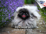 2025 2026 Pekingese Calendar - Dog Breed Monthly Wall Calendar - 12 x 18 Open - Thick No-Bleed Paper - Giftable - Academic Teach