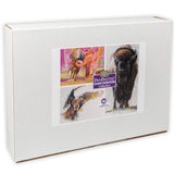 Dawn Emerson Collection Set by PanPastel, 40 Color, 2 Palette Trays