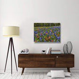 Bluebonnet And Paintbrush Meadow, Cedar Hill State Park, Texas-Canvas Art-40X30
