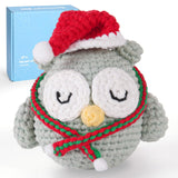 CrochetBox Crochet Kit for Beginners Adults - Christmas Owl Starters Crochet Kit, Beginners Crocheting Kitting for Adults Kids,