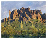 Saguaro Cacti And Superstition Mountains, Lost Dutchman State Park, Arizona-Paper Art-32,,X26.9,,