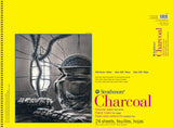 Strathmore 300 Series Charcoal Paper Pad, Top Wire Bound, 18x24 inches, 24 Sheets (64lb/95g) - Artist Paper for Adults and Stude