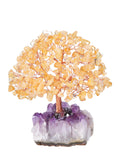 Jovivi Natural Citrine Healing Crystal Money Tree on Amethyst Cluster Geode Druzy Base Feng Shui Crystals for Home Office Desk Decorations Wealth Good Luck-New