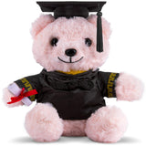 ArtCreativity Graduation Pink Teddy Bear - 10 Inches - Cute Plush Bear with Hat, Gown, Sash, and Diploma - Birthday, Kindergarte