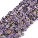 Natural Charoite Freedom Chips Loose Beads 6-13mm for Jewelry Making DIY Handmade Craft 16 inch