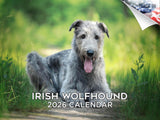 2025 2026 Irish Wolfhound Calendar - Dog Breed Monthly Wall Calendar - 12 x 18 Open - Thick No-Bleed Paper - Giftable - Academic