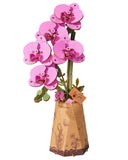 rowood Wooden Flower,3D Puzzles for Kids,Artifical Flower Botanical Collection Building Craft Kit,Mother 's Day/Valentine 's Day