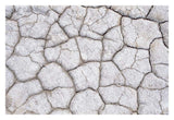 Dry And Cracked Ground Pattern, California-Paper Art-32X22