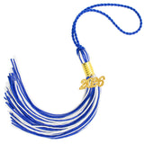 2026 Graduation Tassel, Graduation Tassel Blue White 2026 Grad Cap Tassels for Graduate Cap Hat Decorations with 2026 Year Gold