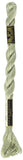 DMC 115 5524 Pearl Cotton Thread, Very Light Fern Green, Size 5
