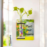 Yey Test Tube Wooden Planter 2In1 | Magnetic & Wall Mounted With Quote | Ideal For Living Room, Bedroom, Office, And Garden |