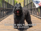 2025 2026 Bouvier Des Flandres Calendar - Dog Breed Monthly Wall Calendar - 12 x 18 Open - Thick No-Bleed Paper - Giftable - Aca