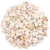 500 pcs Natural Chip Stone Beads, White Turquoise 5-8 mm Irregular Gemstones Healing Crystal Loose Rocks Bead Hole Drilled for J