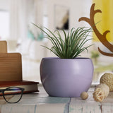 Homspurts Rust Free Tabletop Decorative Metal Planter Flower Pot Plant Pot For Indoor Plants, Flowers,Home Decor, Office, Restau